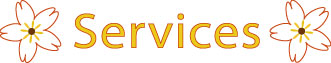 Services: Aloha Car Care, Mobile Auto Detailing in Markham, Richmond Hill, Unionville and Toronto Since 2003