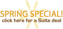 Spring Special! Click here for a Suite Deal