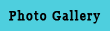 Photo Gallery